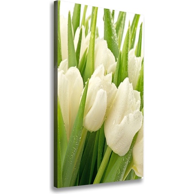 Vertikálny foto obraz na plátne Biele tulipány 50x100 cm