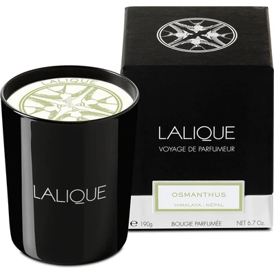 Lalique Osmanthus Himalaya 190 g