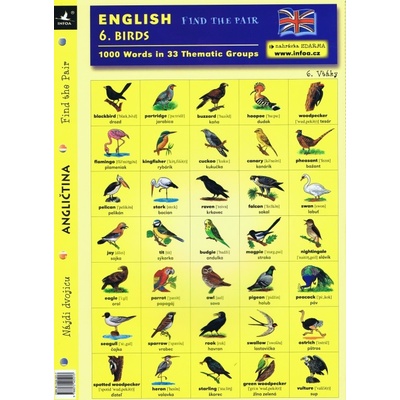 English Find the Pair 06. Birds