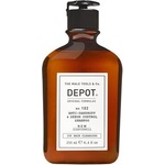 Depot 100 Hair Cleansing No. 102 Purifying & Sebum Control Shampoo Шампоан против пърхот и себум контрол 250 мл