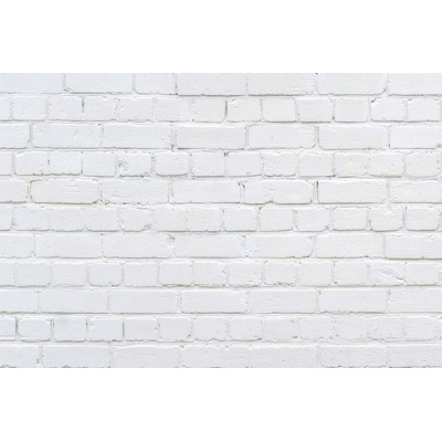 DIMEX ART Флизелинов фототапет бял тухлен фон 375 x 250 см