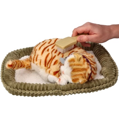 Perfect Petzzz malá ryšavá pruhovaná mačka