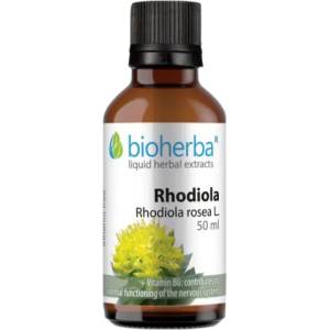 Bioherba Tincture Rhodiola [50 мл]