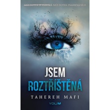 Jsem roztříštěná