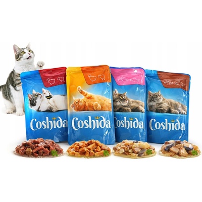 Coshida Krmivo v želé XXL 24×100 g Mix Chutí