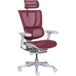 Ergohuman Ергономичен стол ergohuman ioo elite 2 - сива рамка - червен (3520671) - tierradesign