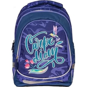 S-Cool Ученическа анатомична раница scool light carpe diem, 19 л