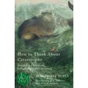 How to Think About Catastrophe (ISBN: 9781611864366)