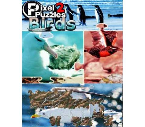 Pixel Puzzles 2: Birds