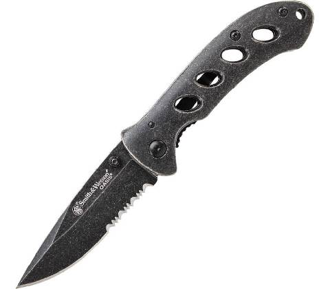 Smith & Wesson Oasis SW421
