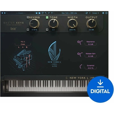 Boz Digital Labs New York L 1991 Lite (Digitální produkt)