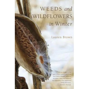 Weeds and Wildflowers in Winter | Lauren Brown (ISBN: 9781581571776)