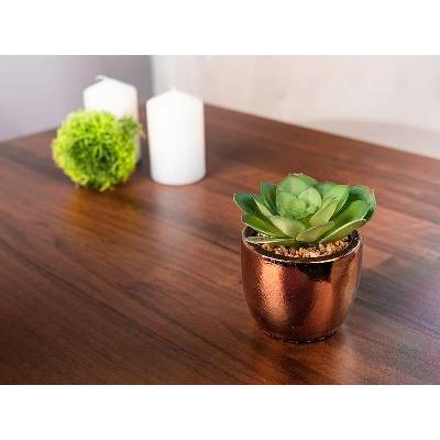 Sukulent MagicHome S34042 kvetináč cm, črepník- cement, zlatý