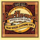 Ernie Ball 2051