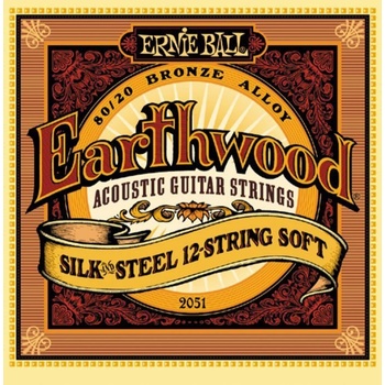 Ernie Ball 2051