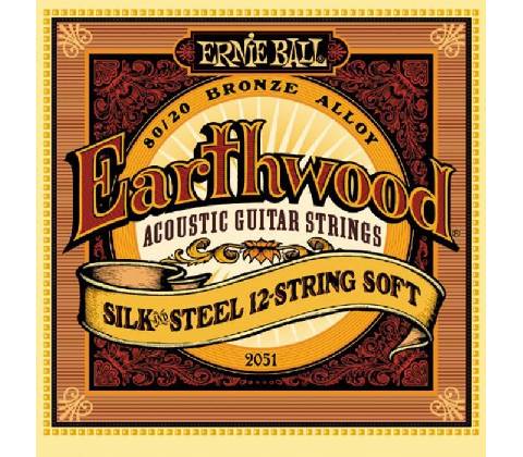 Ernie Ball 2051