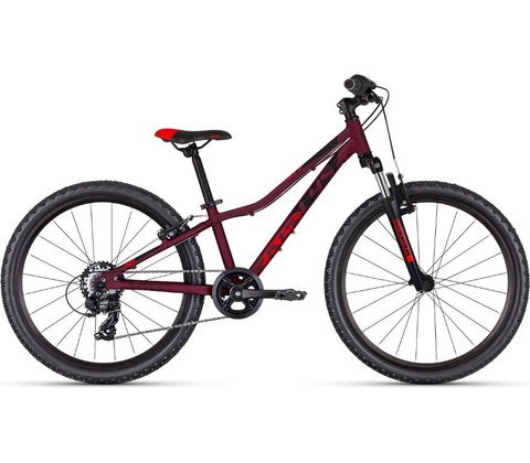 Kellys Kiter 50 2024