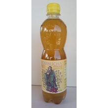 Stevikom Kombucha heřmánek 0,5 l