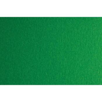 Fabriano Картон Colore, 50 x 70 cm, 200 g/m2, № 231, зелен (1530100095)