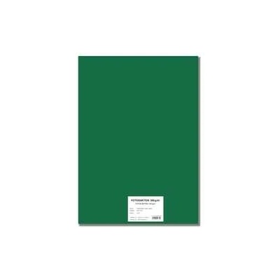 STEPA Barevný karton EXTRA 300g 50x70cm - tmavě zelený 10listů