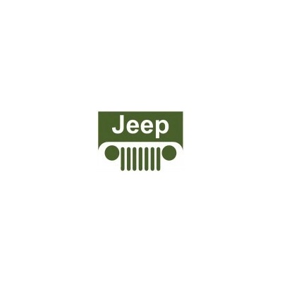 Jeep perleťová farba nariedená, pripravená na striekanie 1000 ml