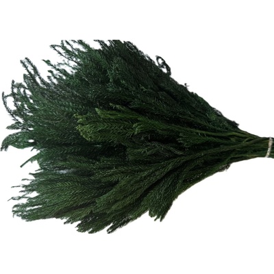 Stone pine 50 g - zelená
