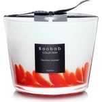 Baobab Collection Feathers Maasai 10 cm