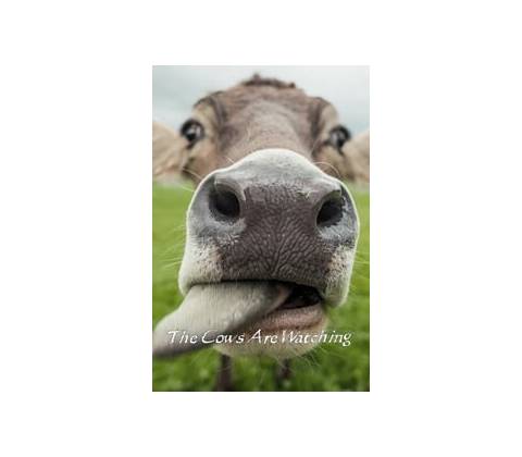 The Cows Are Watching