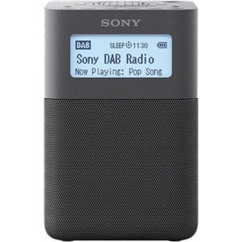 Sony XDR-V20DH