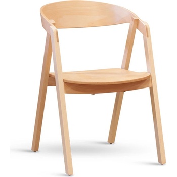 ITTC Stima Guru masiv buk