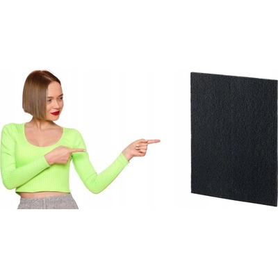 Fellowes AeraMax DX95 uhlíkový filtr