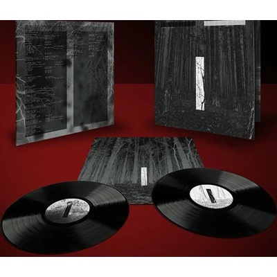 Liebing Chris - Another Day LP