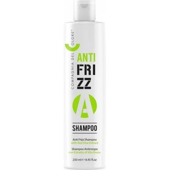 Compagnia Del Colore AntiFrizz Shampoo 250 ml