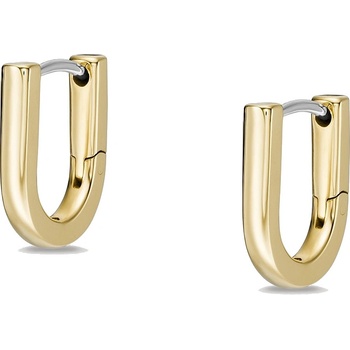 Fossil náušnice JF04352710