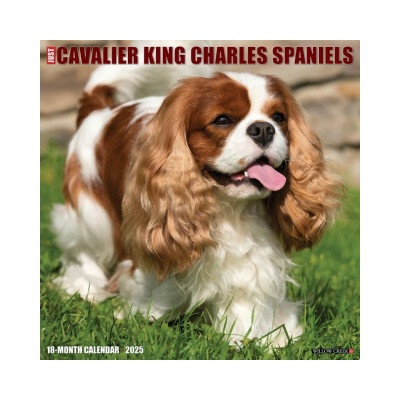 Cavalier King Charles Spaniels 12 X 12 Wall 2026