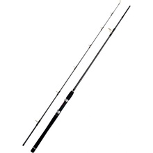 WFT Sea Sparrow Cod Jigger 2,20 m 40-160 g 2 dílný
