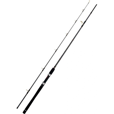 WFT Sea Sparrow Cod Jigger 2,20 m 40-160 g 2 dílný