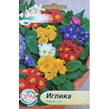 Image 1 of Opal Zi Иглика (Примула)