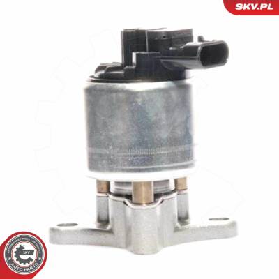 AGR - Ventil ESEN SKV 14SKV017