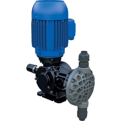Seko MS1C165B31C4000