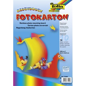 FOLIA Декоративен картон, двустранен, 22, 5x32 cm, 300 g, 10 листа, FOLIA, цвят дъга 77094 (77094)