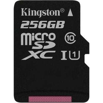 Kingston Canvas Select microSDXC 256GB UHS-I U1 SDCS/256GBSP