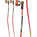 LEKI WCR TBS GS 3D 2024/25