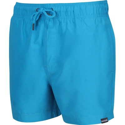 Regatta Mawson SwShort III RMM016 3FN