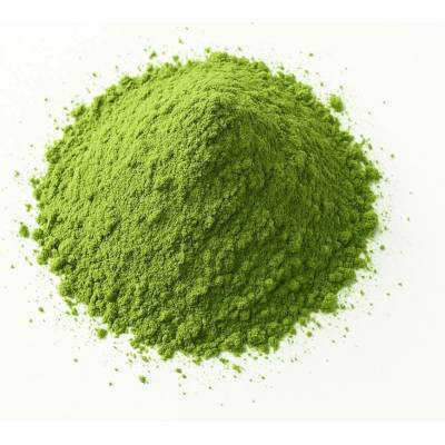 QuickTea Zelený samet japonská Matcha ze Shizuoky 100 g