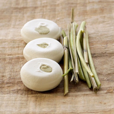 Ponio Tea tree a lemongras šampúch proti lupinám 60 g