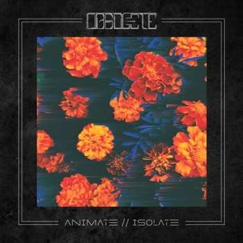 Obsolete - Animate Isolate CD
