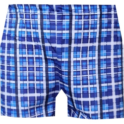 Foltýn dětské trenýrky DT115