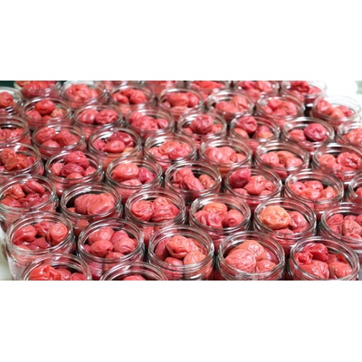 Natural Jihlava Umeboshi slivky 200 g