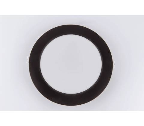 Qtec Q-53M